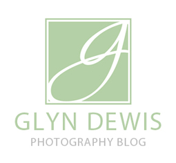 Glyn Dewis Blog logo